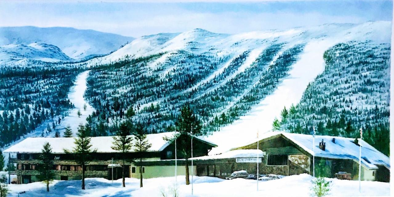 Hallingskarvet Fjellstue As Hovet 外观 照片